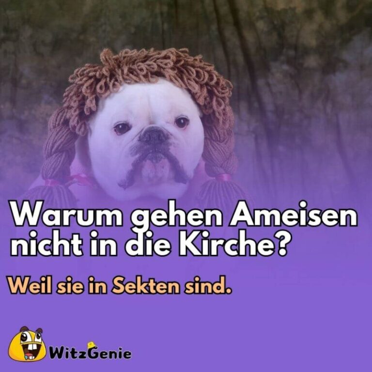 Witze Zum Totlachen WitzGenie