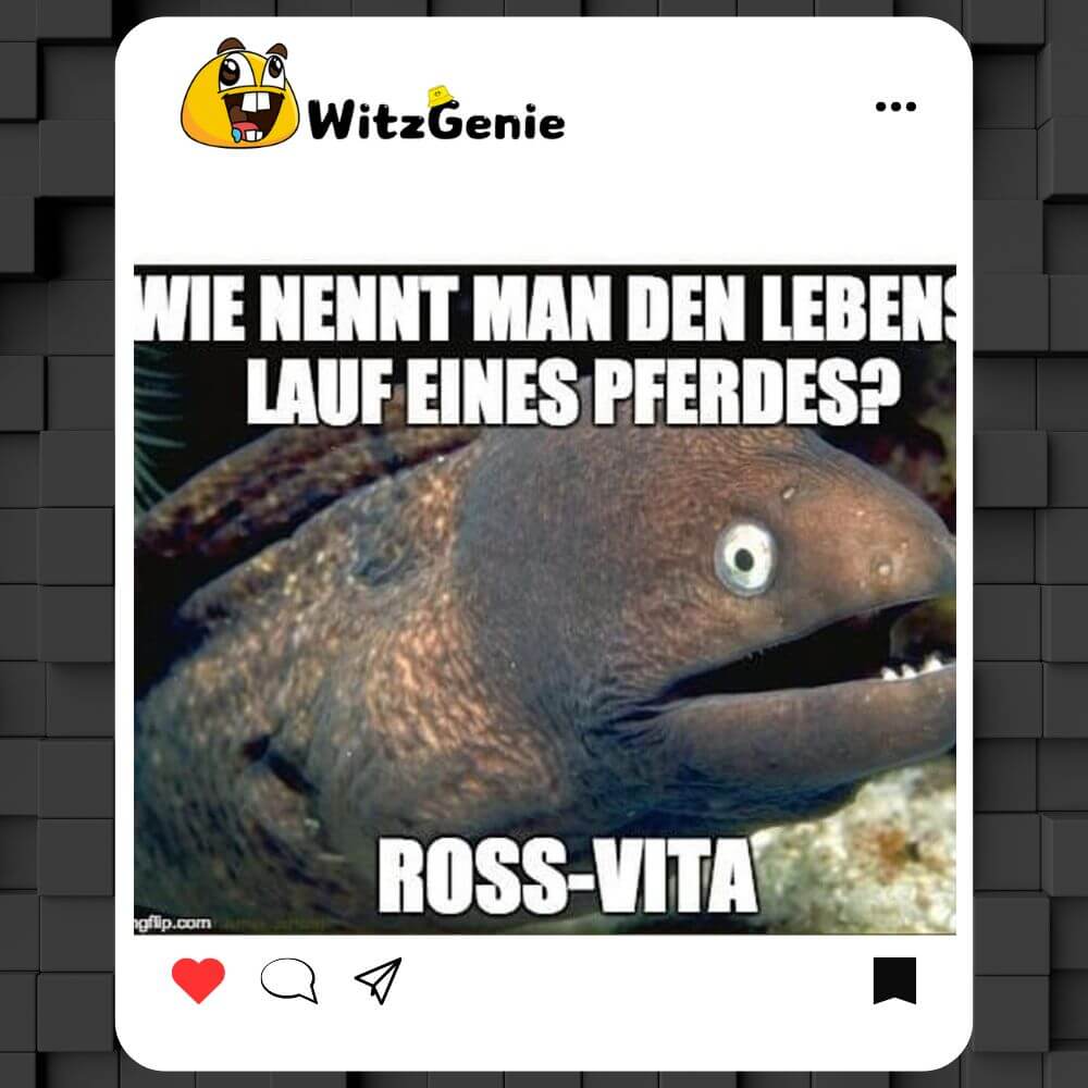 Witze Zum Totlachen WitzGenie